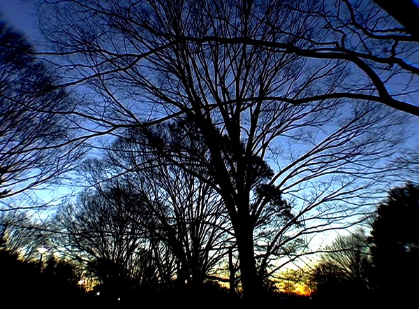 眠り姫 サラウンドリマスター版 1枚目の写真・画像