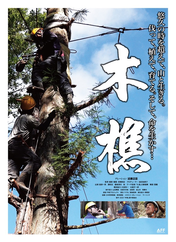 木樵 1枚目の写真・画像