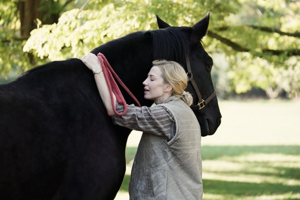 不都合な理想の夫婦 9枚目の写真・画像