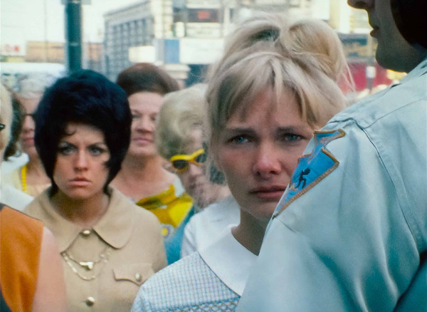 WANDA ワンダ 2枚目の写真・画像