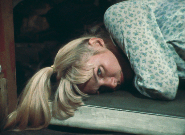 WANDA ワンダ 9枚目の写真・画像