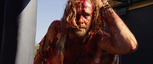 クルーガー 絶滅危惧種 4枚目の写真・画像