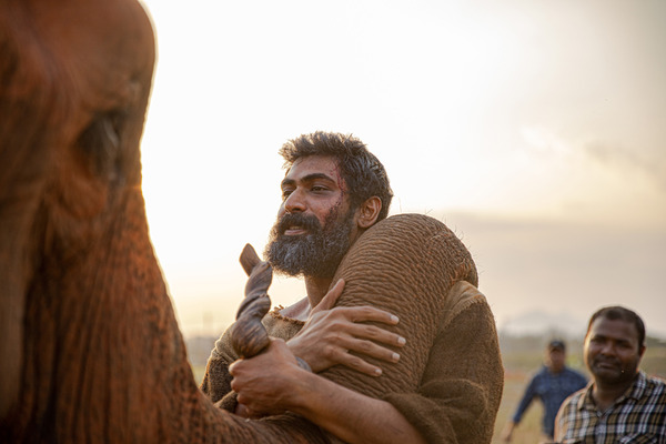 ハーティー 森の神 4枚目の写真・画像