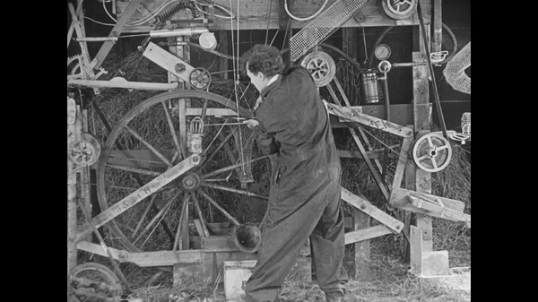 たまご割れすぎ問題 4枚目の写真・画像