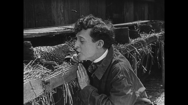 たまご割れすぎ問題 6枚目の写真・画像