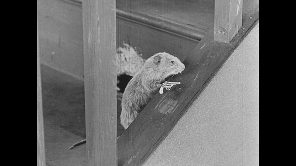 ほらふき倶楽部 6枚目の写真・画像