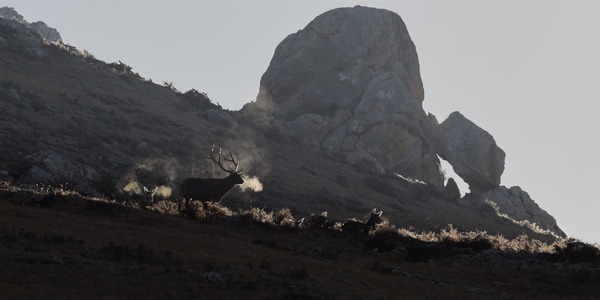 ©PaprikaFilms_KobalannProductions