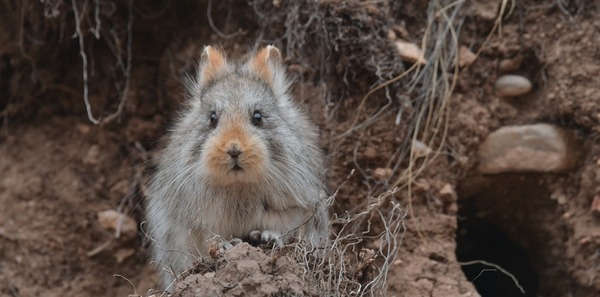 ©PaprikaFilms_KobalannProductions