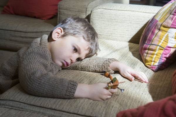 1640日の家族 4枚目の写真・画像