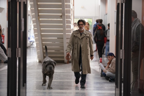 マイ・ドッグ・ステューピッド 1枚目の写真・画像