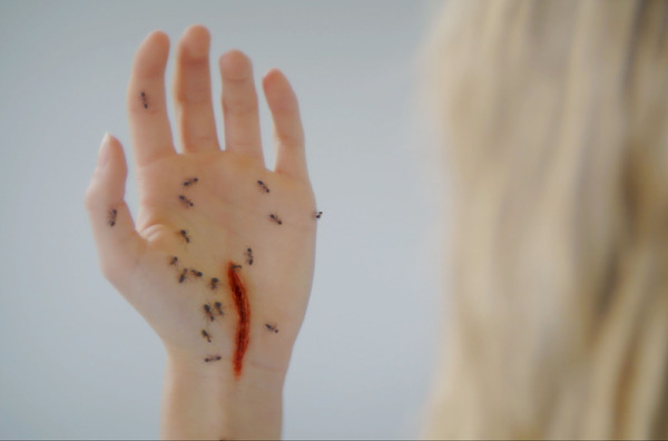 地下室のヘンな穴 11枚目の写真・画像