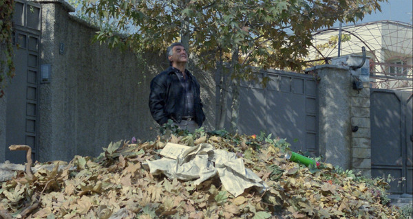 クローズ・アップ 12枚目の写真・画像