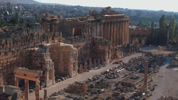 戦地で生まれた奇跡のレバノンワイン 5枚目の写真・画像