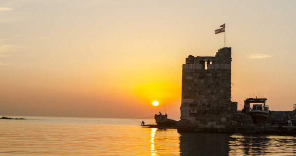 戦地で生まれた奇跡のレバノンワイン 16枚目の写真・画像