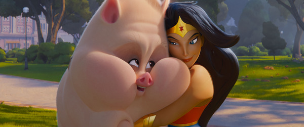 DC がんばれ！スーパーペット 8枚目の写真・画像