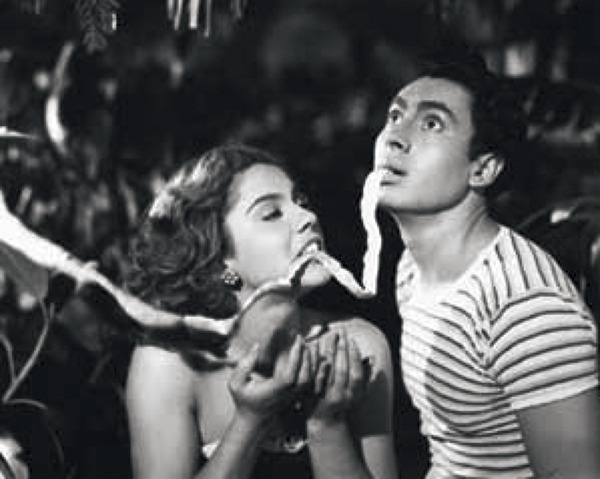 昇天峠 2枚目の写真・画像