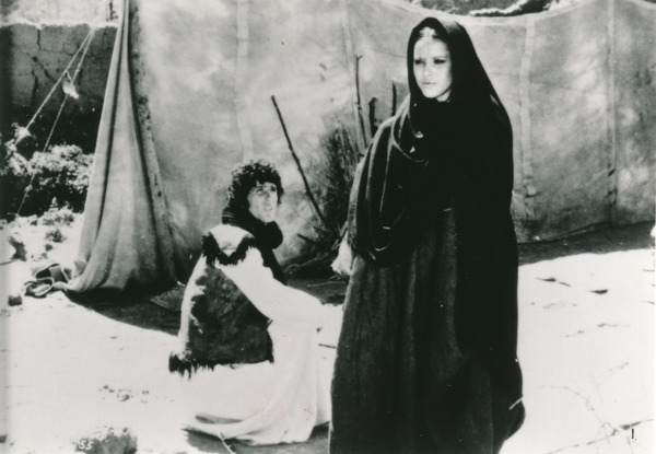 アラビアンナイト 2枚目の写真・画像