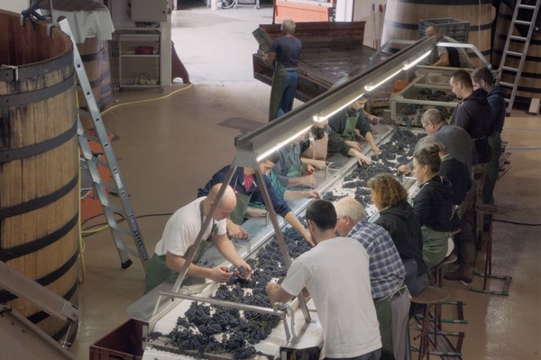 ソウル・オブ・ワイン 13枚目の写真・画像