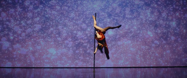 シャイニー・シュリンプス！世界に羽ばたけ 14枚目の写真・画像