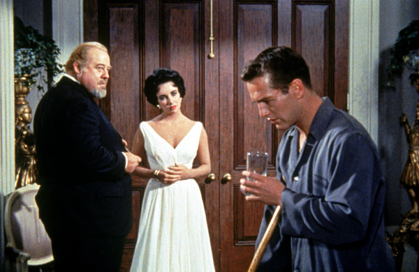 熱いトタン屋根の猫 5枚目の写真・画像