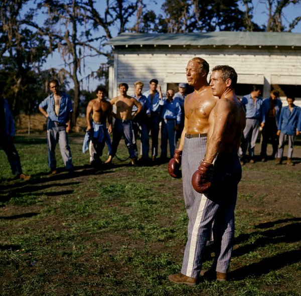 暴力脱獄 3枚目の写真・画像