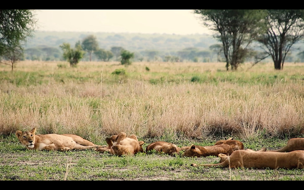 ウンチク／うんこが地球を救う 8枚目の写真・画像