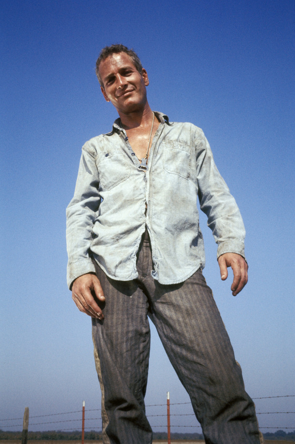 暴力脱獄 7枚目の写真・画像