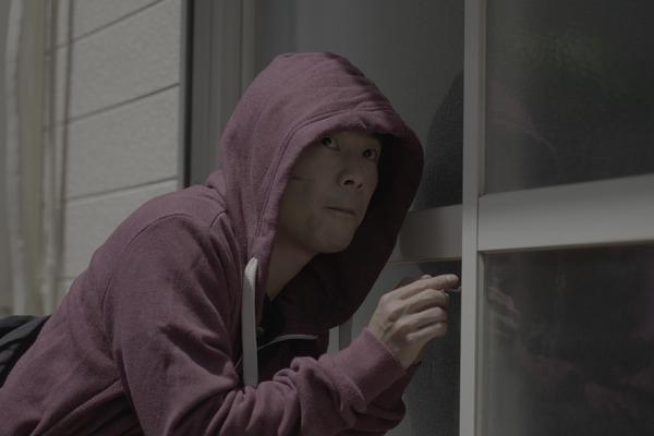 それぞれの花 3枚目の写真・画像