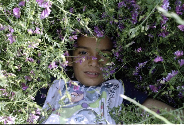 アカーサ ～僕たちの家～ 9枚目の写真・画像