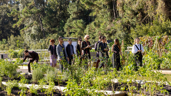 ザ・メニュー 11枚目の写真・画像