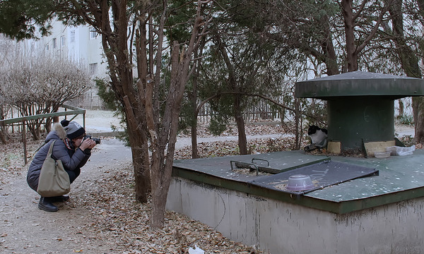 猫たちのアパートメント 7枚目の写真・画像