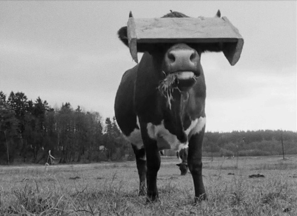 百年の夢 デジタル・リマスター版 11枚目の写真・画像