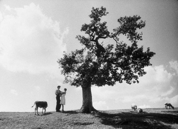 四月 1枚目の写真・画像