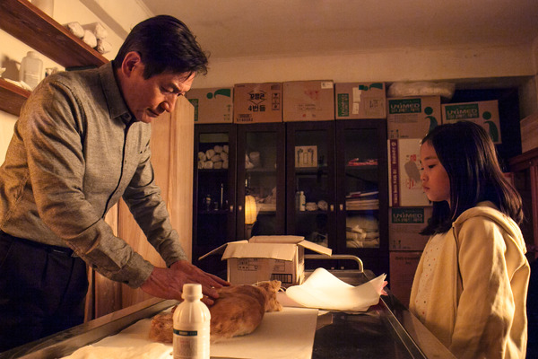 よりそう花ゝ 4枚目の写真・画像