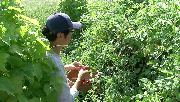 若者は山里をめざす 4枚目の写真・画像