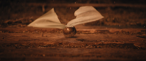 シンデレラ 3つの願い 9枚目の写真・画像