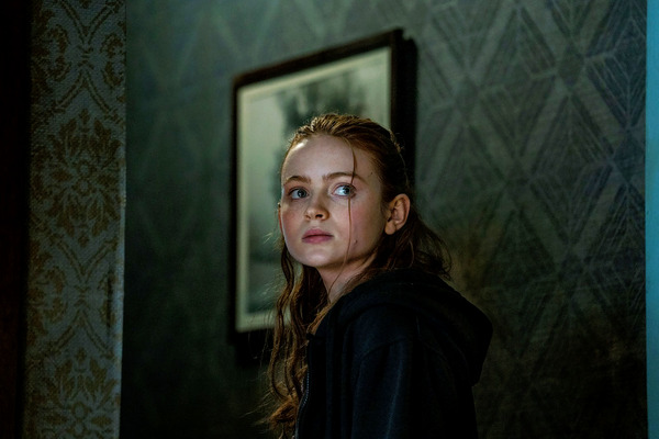 ザ・ホエール 4枚目の写真・画像