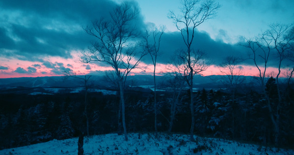 白獣 6枚目の写真・画像