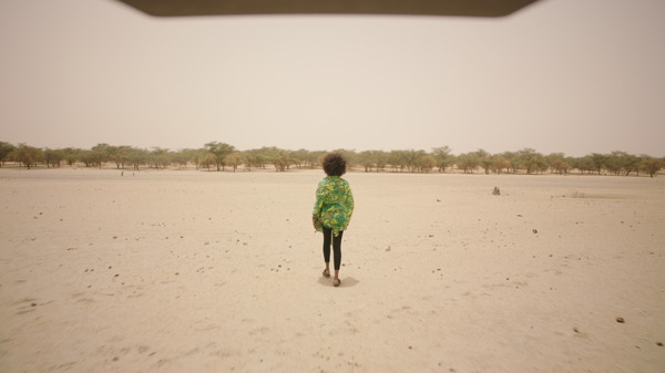 ©GREAT GREEN WALL, LTD