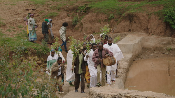 ©GREAT GREEN WALL, LTD