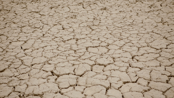 ©GREAT GREEN WALL, LTD