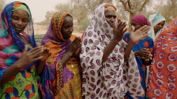 ©GREAT GREEN WALL, LTD