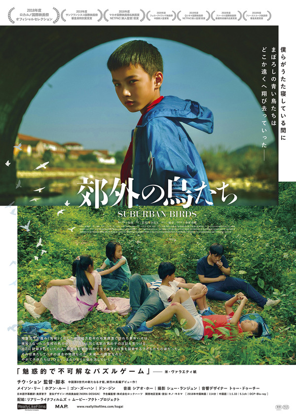 郊外の鳥たち 1枚目の写真・画像