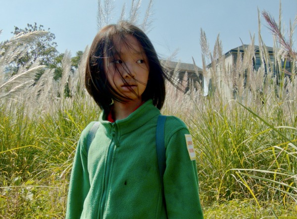 郊外の鳥たち 10枚目の写真・画像