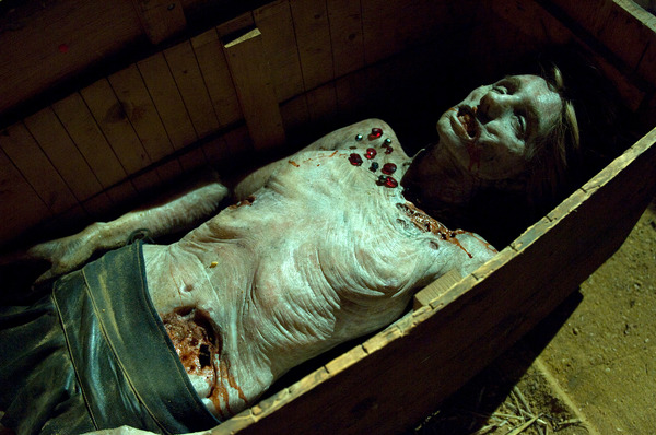 クロムスカル 4枚目の写真・画像