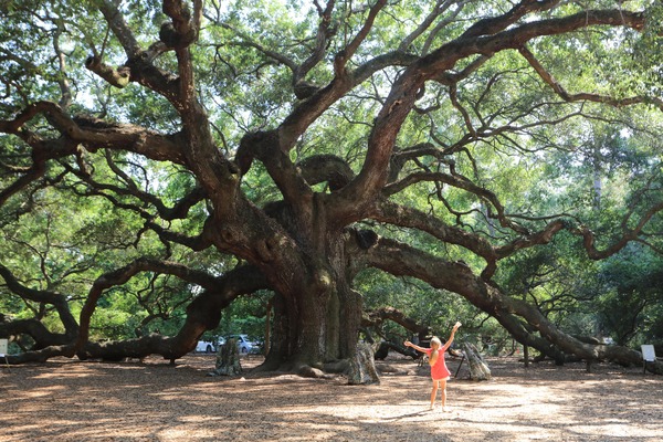 イントゥ・ザ・ネイチャー 自然が教えてくれること 9枚目の写真・画像
