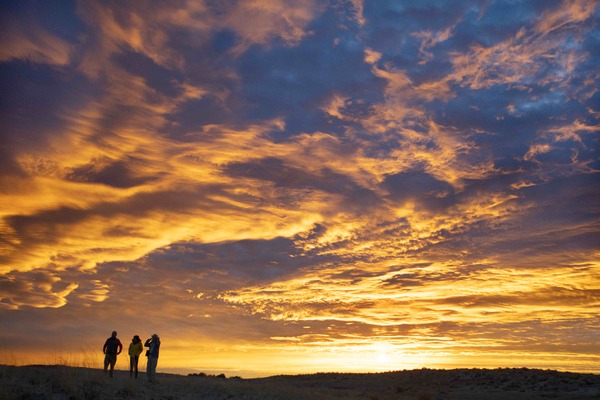 イントゥ・ザ・ネイチャー 自然が教えてくれること 11枚目の写真・画像