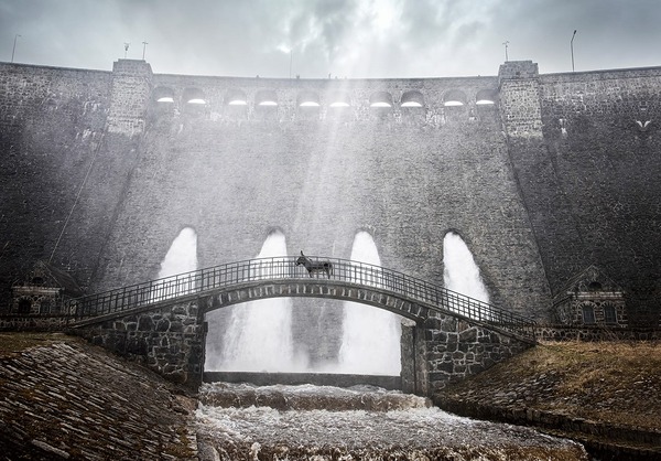 EO イーオー 3枚目の写真・画像