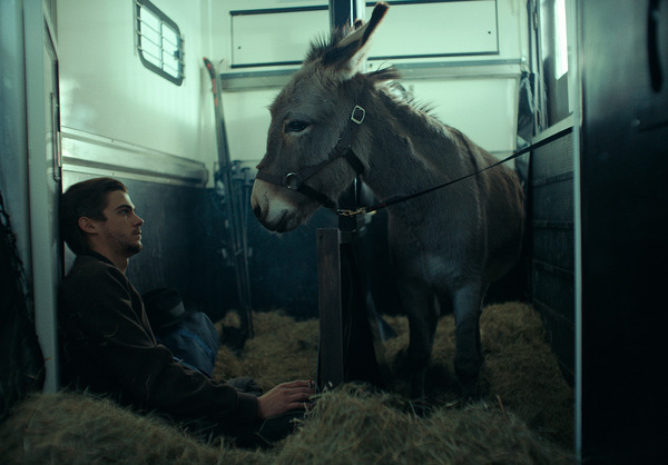 EO イーオー 4枚目の写真・画像