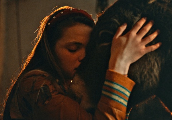 EO イーオー 5枚目の写真・画像